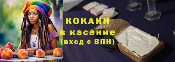 бошки Абаза