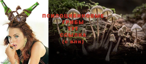 амф Михайловка