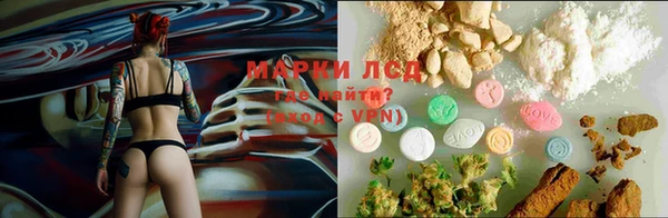 бошки Абаза
