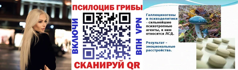 Галлюциногенные грибы мухоморы  даркнет сайт  Шимановск 